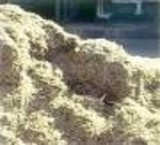 Bagasse and wood pulp نیشکرو feed base