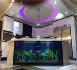 Design and manufacture all kinds of Aquarium glass bending