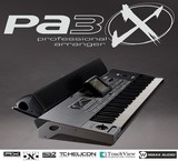 RAM 256 for keyboards pa 3X