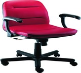 Replacement parts chair nalpr (patron of Industry )