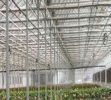 Galvanized pipe greenhouse