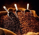 Sell all kinds of coffee beans for general and minor