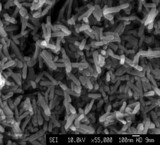 Nano powder hydroxy آپاتیت