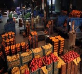 گروه بازرگانی پارسیا ، بزرگترین گروه بازرگانی محصولات کشاورزی ایران