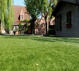 Artificial grass with the quality