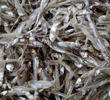 فروش ماهی متو خشک شده برای تولید پودر ماهی متو