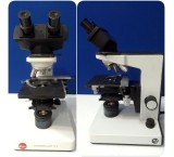 The price of buying a binocular microscope Laborlux 11