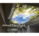 Sales and installation of elastic ceilings