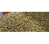 Sale of alfalfa seeds, the price of long stem alfalfa seeds