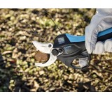 Cordless pruning shears made by Campaniola, Italy