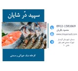 Salt for feeding and aquatic life - Shayan fishing salt