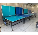 Ping Pong MDF TM110