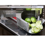 Fruit corer slicer machine in Urmia