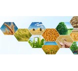 Export and import of any type of agricultural product