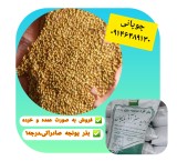 Sale of alfalfa seeds and other fodder of standard varieties