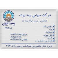 Company representation bagherzadeh
