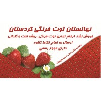 شرکت نهالستان توت فرنگی کردستان