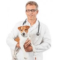 Veterinary clinic Chicago