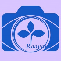 Medical imaging, Royan