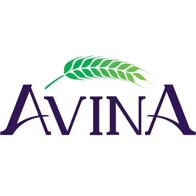 Avina Technology Group