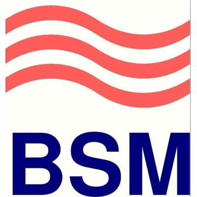 بهنورسازان BSM