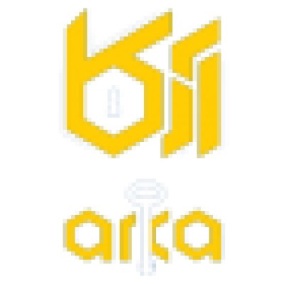 Arca safe online store
