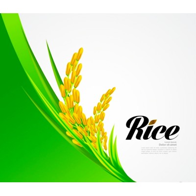Hyrcanian rice