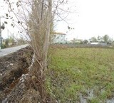 زمین متراژ بزرگ (104) هکتار با سند