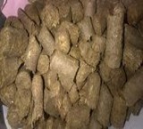 Sell, bagasse sugar cane