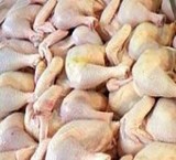 Meat ومرغ sepahan(frozen وتازه)