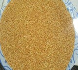 Grain millet