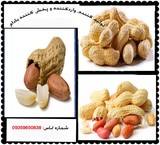 Manufacturer, importer and player almond