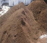 Special sale animal manure