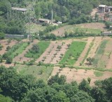 The sale of garden, agricultural 7.5 acres
