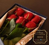 Box rose Dutch floria