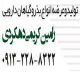 Sell all kinds of seed