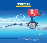 Electric actuator tork