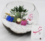 Online sale of flowers and plants, apartment buildings, and affiliate products