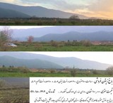 فروش باغ زیتون