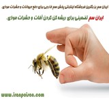 فروش قوی ترین سم برای از بین بردن حشرات موذی