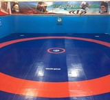 The mattress ships with the standard of the International Union of