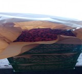 Sell wholesale blueberry province