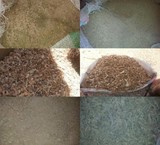 Sell sawdust and straw riddled