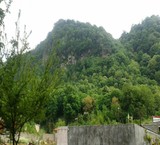 ماهی قزل آلا و سالمون