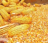 The sale of corn, livestock, زودبار sho