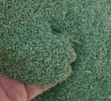 The purchase and sale of major types of thyme, dried oregano, and a garden