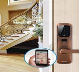 Shiraz Digital Handle, Shiraz Smart Handle, Shiraz Crystal Handle