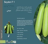 Seed pumpkin Sidon seyden