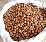 فروش فندق ایرانی