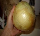 Sell wholesale onion